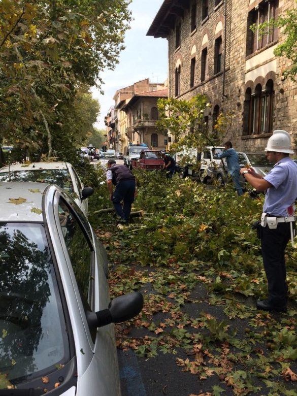 Maltempo Firenze In Ginocchio Venti Forti Come Quelli Di Un Uragano 