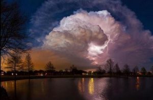 odile texas