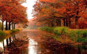 pioggia autunno03