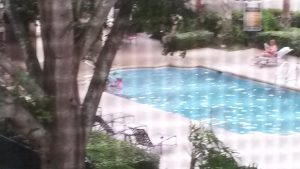 piscina