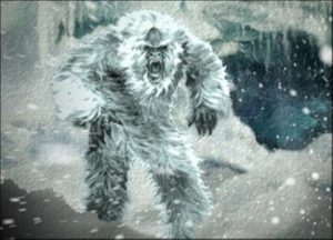 yeti
