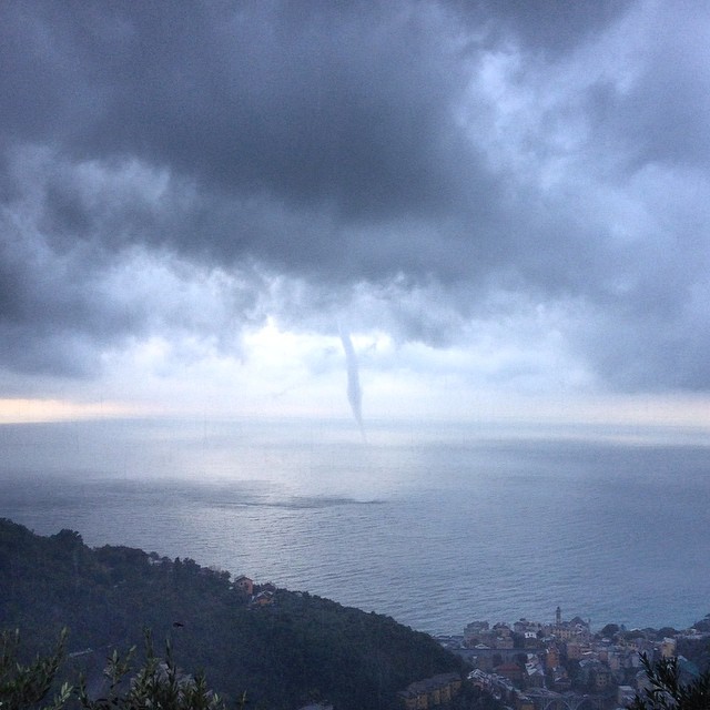 Bogliasco