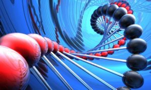 RNA