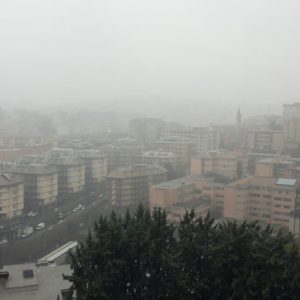 genova3
