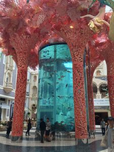 macao (8)