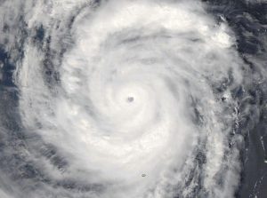 simon-modis-oct4
