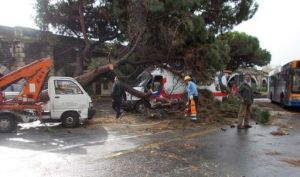 Catania