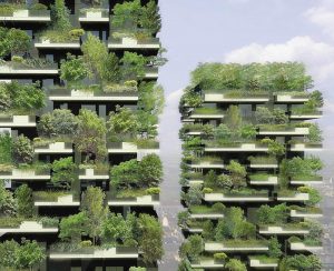 BOSCO VERTICALE 3