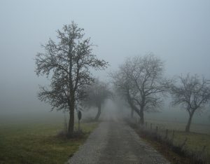 NEBBIA 1