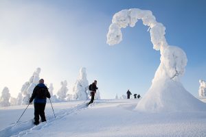 Snowshoeing at Riisitunturi National Park.