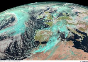 allerta (1)