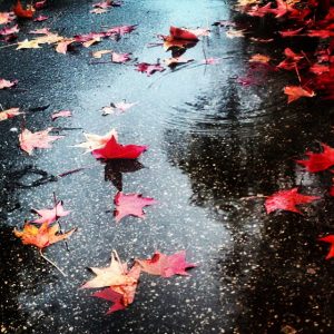 autunno