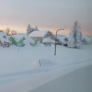 buffalo snow (5)