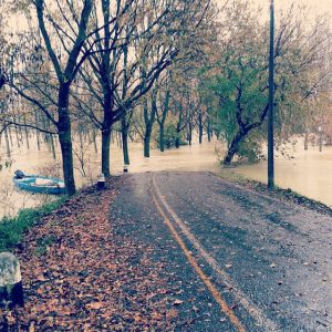 fiume po piena (10)