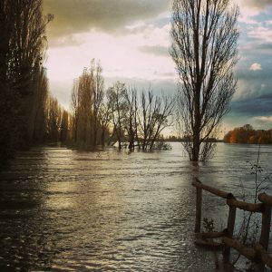 fiume po piena (2)