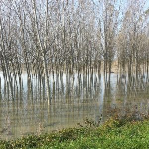 fiume po piena (7)