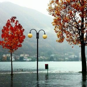 lago maggiore