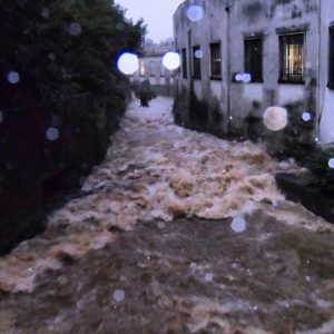 milano seveso (9)