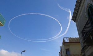 scie bernalda (5)