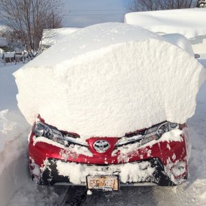 snowvember (25)
