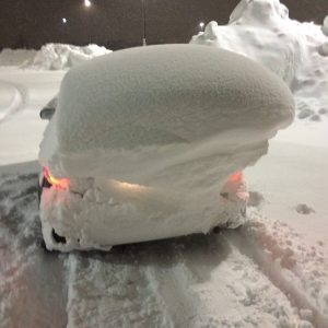 snowvember (28)