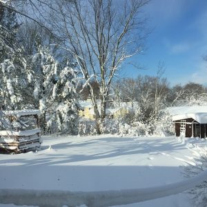 snowvember (39)