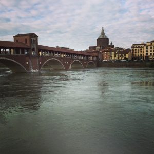 ticino pavia (4)