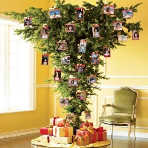 ALBERO CAPOVOLTO OK