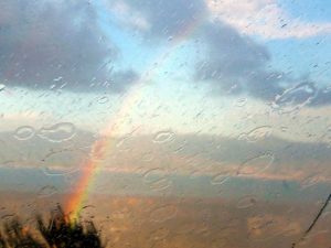 Arcobaleno Reggio 02