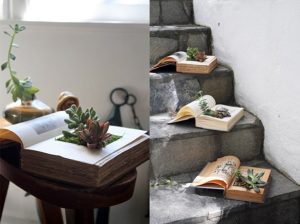 LIBRI 3