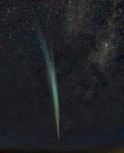 Lovejoy (1)