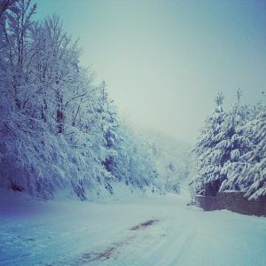 Sila neve 06