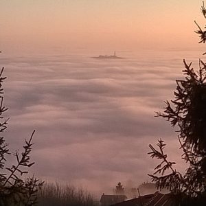 nebbia monferrato