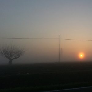 nebbia sole tramonto