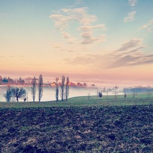 nebbia