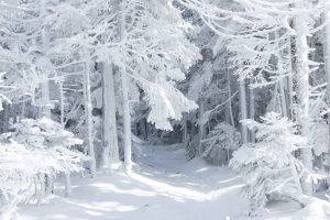 neve
