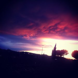 roma (56)