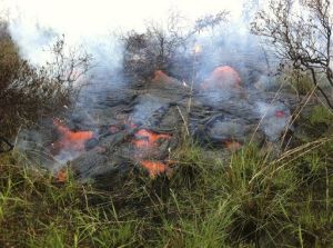 Hawaii kilauea pahoa