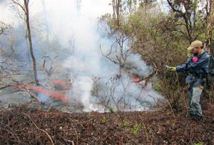 Hawaii kilauea pahoa