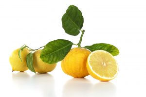 BERGAMOTTO 1