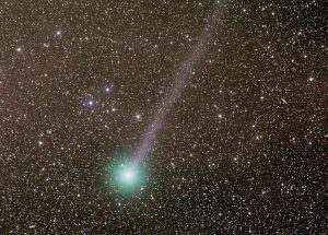 C2014 Q2 Lovejoy2