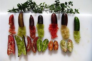 CAVIALE VEGETALE 4
