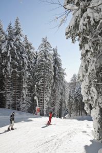 Monte Cimone Modena