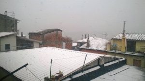Pallagorio