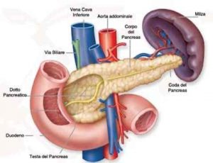 TUMORE PANCREAS 2