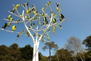 WIND TREE 1