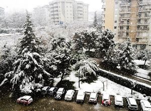 cosenza05