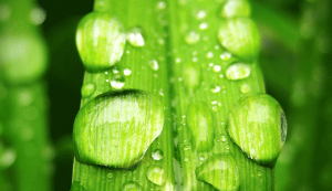 cosmesi 3