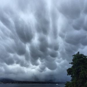 mammatus messina