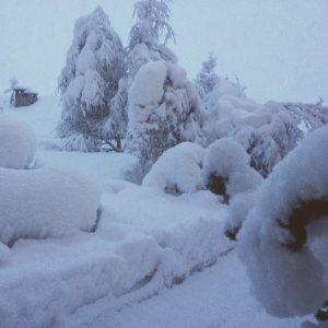 neve sulle alpi (1)